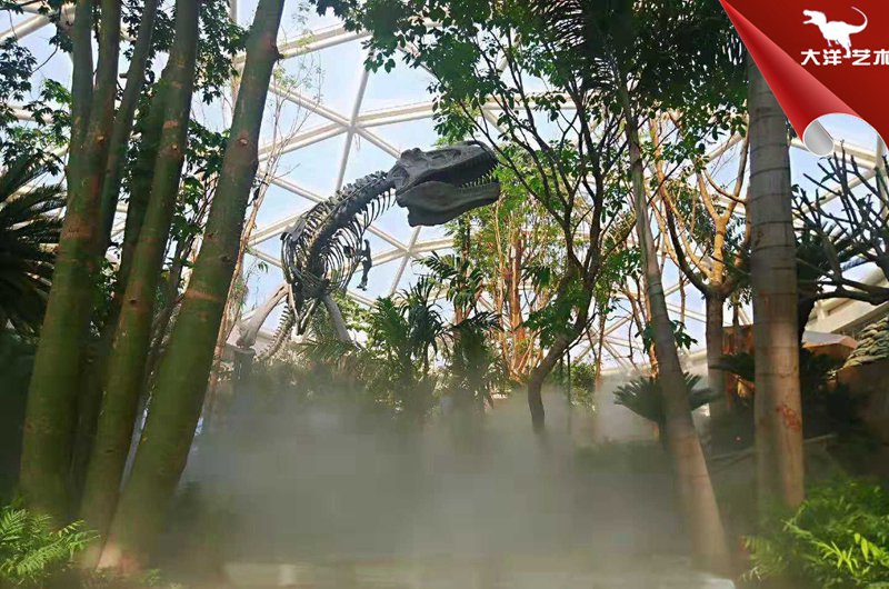 j9����վ(�й�)����-����