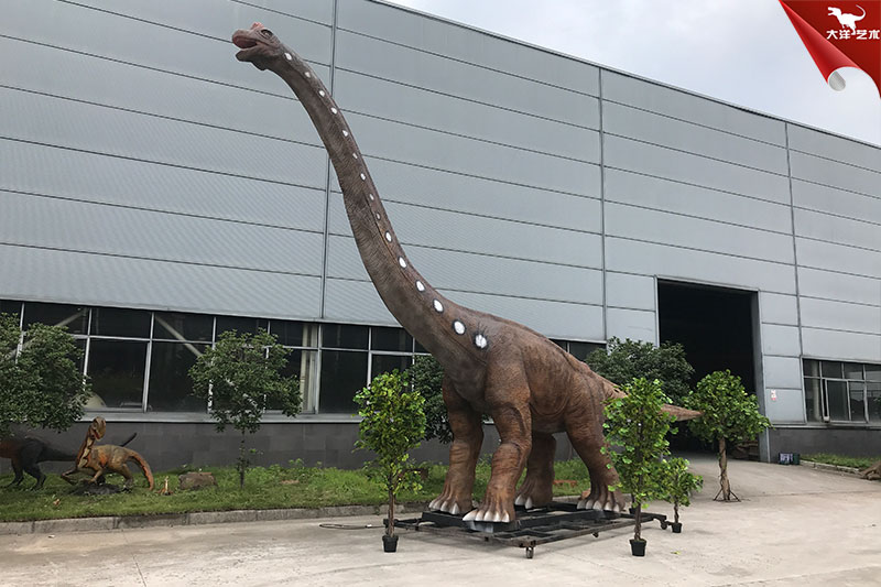 1-191012115246-50