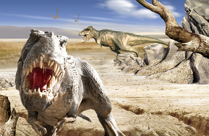j9����վ(�й�)����-����