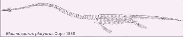 1554221R0-11