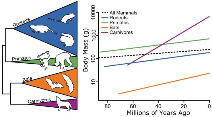 1603415R7-29